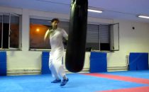Training und Shows